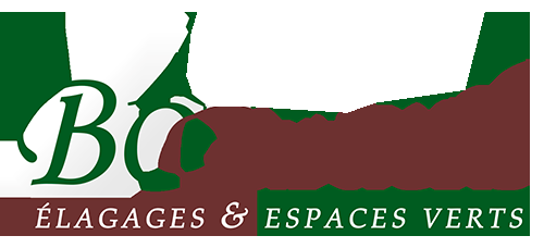 Entreprise d'élagage à Avignon, création de jardins et entretien espaces verts dans le Vaucluse